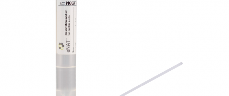 ENAT MEDIUM S/L-SHAPE 2ml