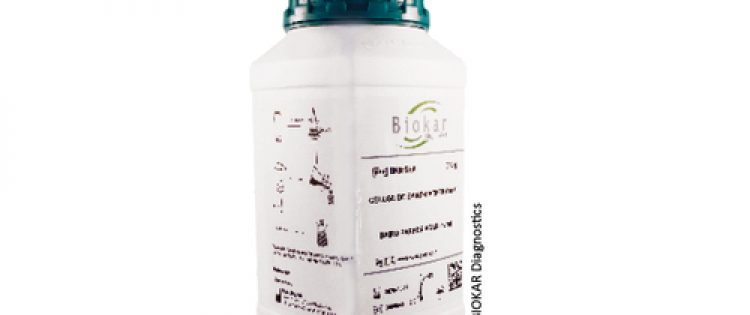 TRYPTONE SOY BROTH