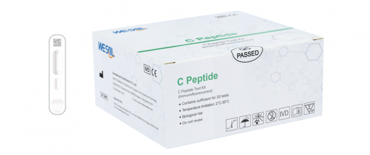 C-PEPTIDE