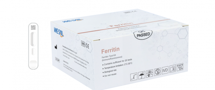 FERRITIN