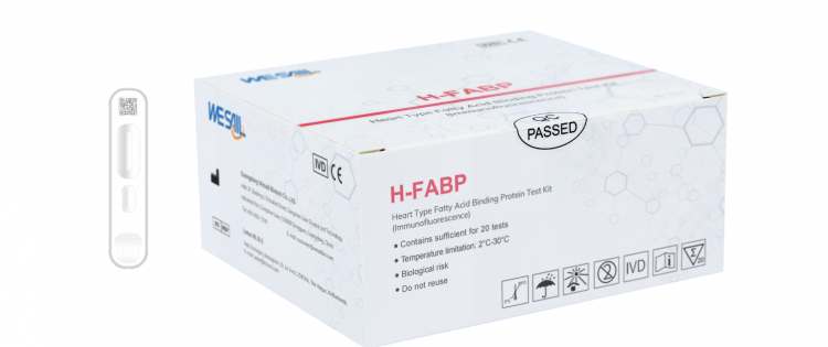 H-FABP