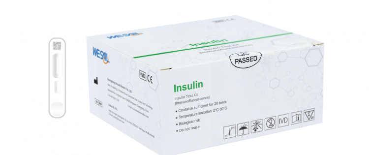 INSULINA