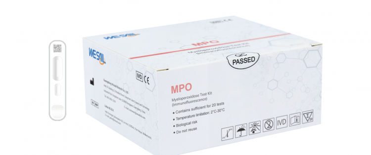 MPO