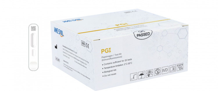 PG I