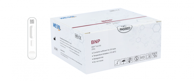 BNP