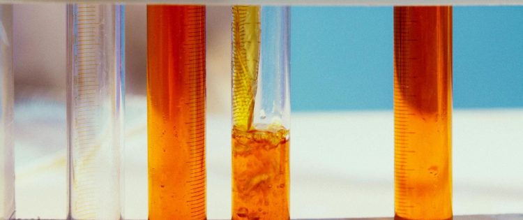 Infezioni micotiche: aspetti eziopatogenetici e classificazione